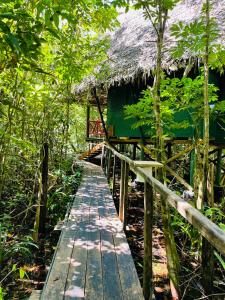a wooden walkway leading to a forest filled with trees at Finca Tatin in Lámpara
