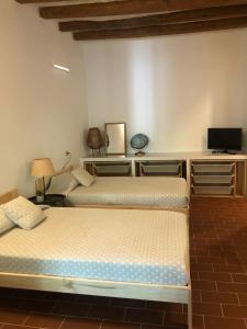 a room with two beds and a television in it at Pis amb molt d'encant al centre d'Olot in Olot