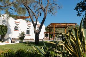 a view of the house from the garden at Hotel Villa Cedrino in Dorgali