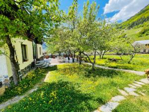 ein Park mit Bäumen und gelben Blumen und ein Gebäude in der Unterkunft Ioska's House in Mestia
