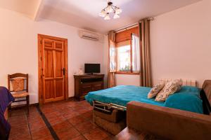 um quarto com uma cama, um sofá e uma televisão em Casa rural Villa Cristina Almonacid de Toledo em Almonacid de Toledo