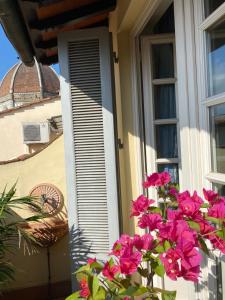 Ein paar rosa Blumen vor dem Fenster in der Unterkunft Al Campanile in Florenz
