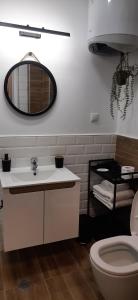 ein Badezimmer mit einem Waschbecken, einem WC und einem Spiegel in der Unterkunft Top Studio Vinica in Warna