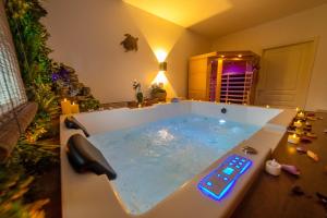 a bath tub with a remote control in a room at Appartement L'Évasion Nature in Troyes