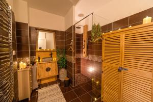 a bathroom with a shower and a sink and a mirror at Appartement L'Évasion Nature in Troyes