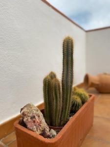 Fotografia z galérie ubytovania Ático Parque Natural Cabo de Gata v destinácii Retamar