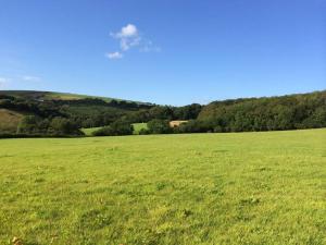 a large field of green grass with trees in the background at Farmer Bob's Farmhouse in Barnstaple