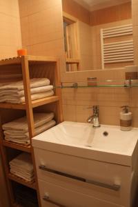 什平德莱鲁夫姆林Cozy apartment in Bedřichov - Špindlerův Mlýn的带水槽、镜子和毛巾的浴室 更多15张照片