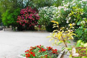 福賈的住宿－Le Anfore di Arpi，花园内种有粉红色和白色的花卉和树木