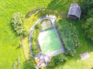 an aerial view of a swimming pool in a field at Ski in Ski out Hotel Unterellmau in Saalbach-Hinterglemm