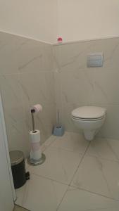 een witte badkamer met een toilet en een vuilnisbak bij A Tana di a Volpe in Alzetu