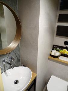 a bathroom with a sink and a mirror and a toilet at Ptasia Zatoka in Augustów +51 photos