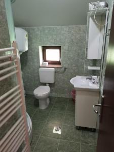 a bathroom with a toilet and a sink and a window at Resort Čokori in Banja Luka