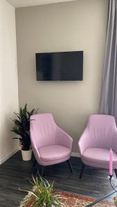 two pink chairs in a waiting room with a tv at Hotel Delle Camelie in Florence