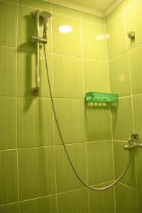 Baño de azulejos verdes con ducha y manguera en Šepić Accommodation, en Žabljak