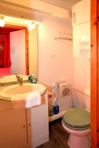 ห้องน้ำของ Room in Studio - Mini Studio Peniche au coeur de Lyon, insolite et calme
