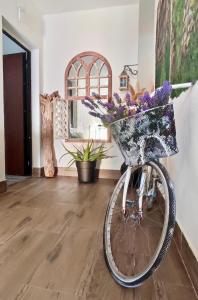 - un vélo avec une corbeille de fleurs dans la chambre dans l'établissement Domus Rubra, à Castelsardo