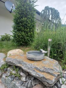 Ogród w obiekcie Ferienhaus Am-moore