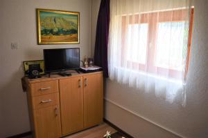 TV a/nebo společenská místnost v ubytování Šepić Accommodation