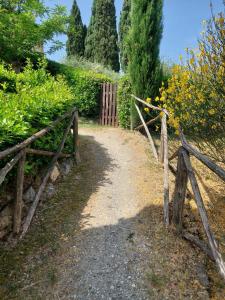 A garden outside Montagnana Country House