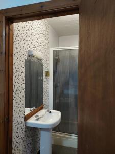 uma casa de banho com um lavatório e um espelho em Twa Dogs Inn em Keswick