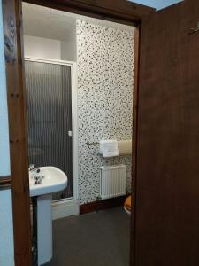 uma casa de banho com um lavatório e um WC em Twa Dogs Inn em Keswick