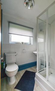 e bagno con servizi igienici, doccia e finestra. di Immaculate Gower Getaway with Pool & Facilities a Swansea