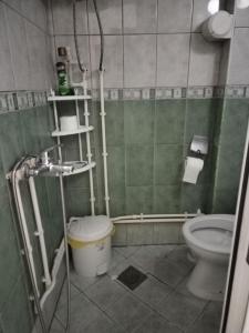 een badkamer met een toilet en een wastafel bij Hotel Asikot in Gevgelija