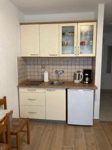 Kuchyňa alebo kuchynka v ubytovaní Funtana Apartments Budinjaš