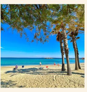 - une plage avec des palmiers et des personnes sur la plage dans l'établissement L’azur, au Lavandou