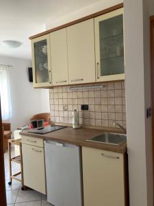 Kuchyňa alebo kuchynka v ubytovaní Funtana Apartments Budinjaš