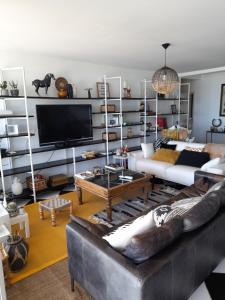 a living room with a couch and a tv at VILLA GARRIGA in Le Bois de Nèfles