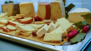 Gallery image of Hotel Puccini in Peschiera del Garda