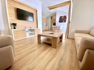 TV a/nebo společenská místnost v ubytování Golden Apartments