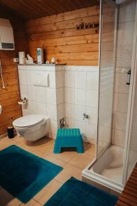 a bathroom with a toilet and a shower and a blue stool at Holzhaus direkt am See in Priepert