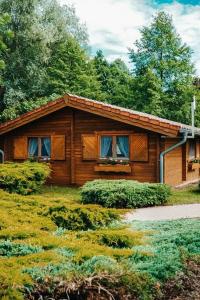 a log cabin with a grass roof and windows at Holzhaus direkt am See in Priepert