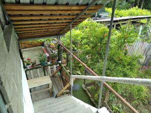 Billede fra billedgalleriet på chelo i Ambrolauri + 27 billeder