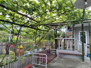 Billede fra billedgalleriet på chelo i Ambrolauri