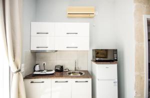 Kuchyňa alebo kuchynka v ubytovaní Xenia Ionis luxury apartments