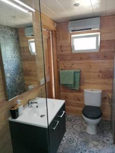 a bathroom with a sink and a toilet and a mirror at Le canard: rustig genieten aan het water in Geel