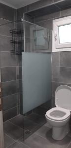 a bathroom with a toilet and a window at Nikiana Family Apartment in Nikiana +26 photos
