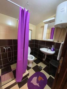 a bathroom with a purple shower curtain and a toilet at Apartmani LALA Canj in Čanj