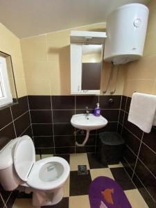 a bathroom with a toilet and a sink at Apartmani LALA Canj in Čanj