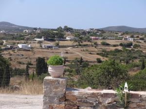a potted plant sitting on top of a stone wall at Theros house in Kythira
