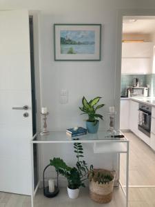 Kuchyňa alebo kuchynka v ubytovaní Dream Summer House Fonyód