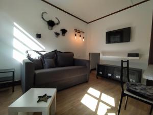 Chalet Appart'Hôtel l'Eau Vive的休息区