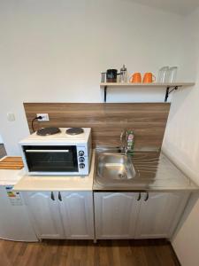 Kuchyň nebo kuchyňský kout v ubytování Apartmani LALA 2 Canj