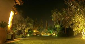 einen Garten mit Bäumen und Lichtern in der Nacht in der Unterkunft Casona en Barrio Privado Lujan de Cuyo in Ciudad Lujan de Cuyo