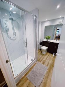 a bathroom with a shower and a toilet at Prosper House Apartment 4 in Norwich