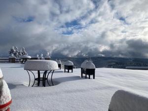 een groep tafels bedekt met sneeuw op een dak bij Berghotel Stutenhaus in Schmiedefeld am Rennsteig